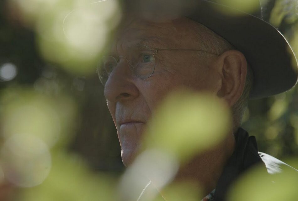 ಅಂತ್ಯವಿಲ್ಲದ ವಾಕ್ಯಗಳಲ್ಲಿನ ಕಾವ್ಯ…: ಎಸ್. ಜಯಶ್ರೀನಿವಾಸ ರಾವ್ ಸರಣಿ