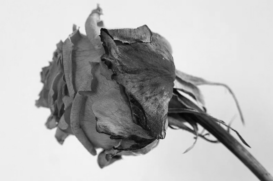 ಮಾಲಾ ಮ. ಅಕ್ಕಿಶೆಟ್ಟಿ ಬರೆದ ಈ ದಿನದ ಕವಿತೆ