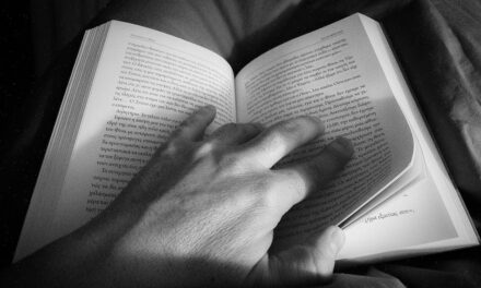 ಶೀರ್ಷಿಕೆಗಳ ಸಂಗತಿ: ಅರುಣಾ ಜಿ ಭಟ್. ಬದಿಕೋಡಿ ಬರಹ