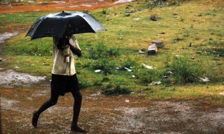 ಕೊಡೆ…. ಕೊಡೆ … ಎಲ್ನೋಡಿ ಕೊಡೆ: ಸುಮಾವೀಣಾ ಸರಣಿ