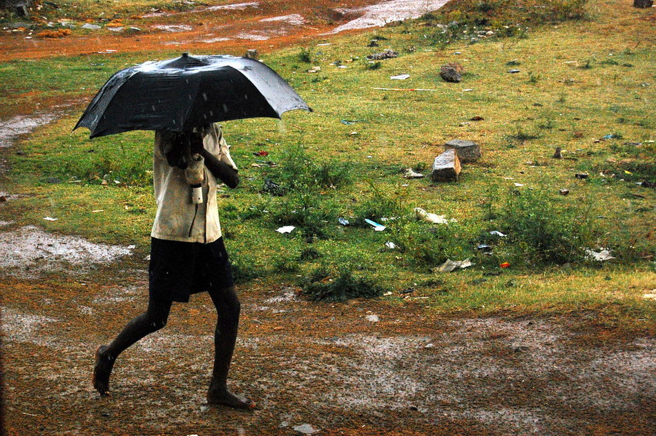 ಕೊಡೆ…. ಕೊಡೆ … ಎಲ್ನೋಡಿ ಕೊಡೆ: ಸುಮಾವೀಣಾ ಸರಣಿ