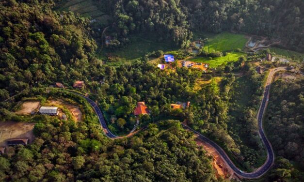 ಬದುಕಿನ ವರ್ಷಕಾಲದ ವಸಂತೋತ್ಸವ: ಸುಮಾವೀಣಾ ಸರಣಿ
