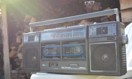 ಸಾಹೇಬರ ಟೇಪಿನೊಳಗೆ ನೀಲಿಯ ಗೋವಿಂದ: ಸುಧಾ ಆಡುಕಳ ಅಂಕಣ