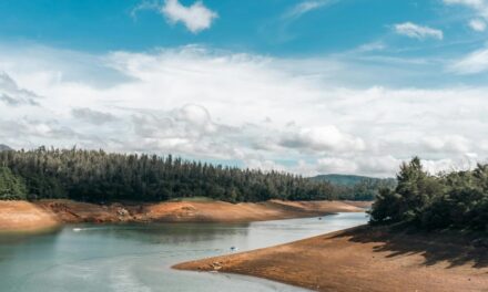 ಹೊಳೆಯೊಂದು ಹರಿದ್ಹಾಂಗೆ…..: ಸುಧಾ ಆಡುಕಳ ಅಂಕಣ