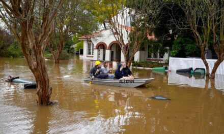 ಹೊಸವರ್ಷ, ಹೊಸಜೀವನದ ಮಜಲುಗಳು: ವಿನತೆ ಶರ್ಮ ಅಂಕಣ