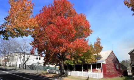 ಆಟ ಕಟ್ಟಲು ಕಣದ ಸಿದ್ಧತೆ: ಡಾ. ವಿನತೆ ಶರ್ಮ ಅಂಕಣ