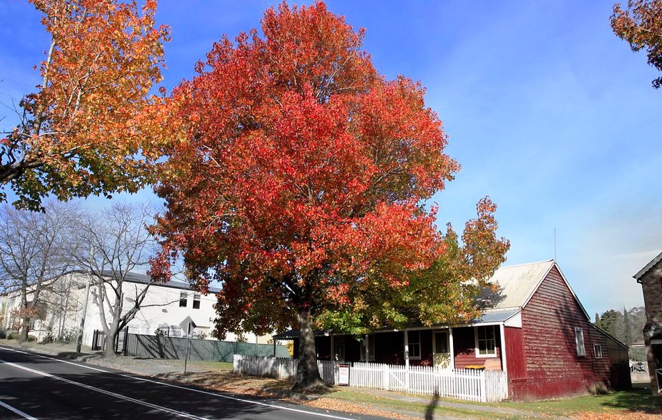 ಆಟ ಕಟ್ಟಲು ಕಣದ ಸಿದ್ಧತೆ: ಡಾ. ವಿನತೆ ಶರ್ಮ ಅಂಕಣ