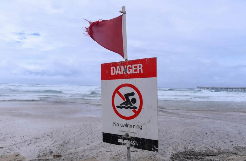 ಬಂದೇ ಬಿಟ್ಟ ಆಲ್ಫ್ರೆಡ್: ಡಾ. ವಿನತೆ ಶರ್ಮ ಅಂಕಣ