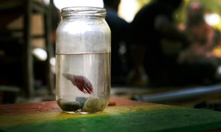 ಹೊಟ್ಟೆಬಾಕ ಗಂಡುಮೀನು…: ಮಯೂರ ಬಿ ಮಸೂತಿ ಬರಹ