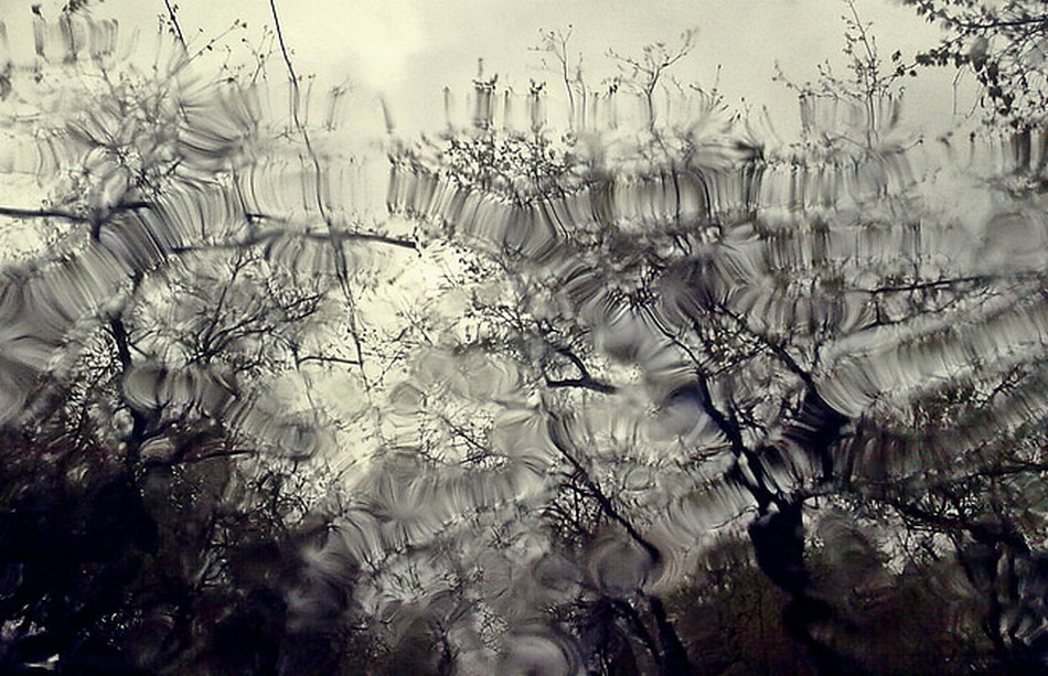 ವಿಶಾಲ್ ಮ್ಯಾಸರ ಬರೆದ ಈ ದಿನದ ಕವಿತೆ