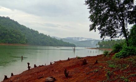 ಭವ್ಯ ಟಿ.ಎಸ್. ಹೊಸ ಸರಣಿ “ಮಲೆನಾಡಿನ ಹಾಡು-ಪಾಡು” ಶುರು