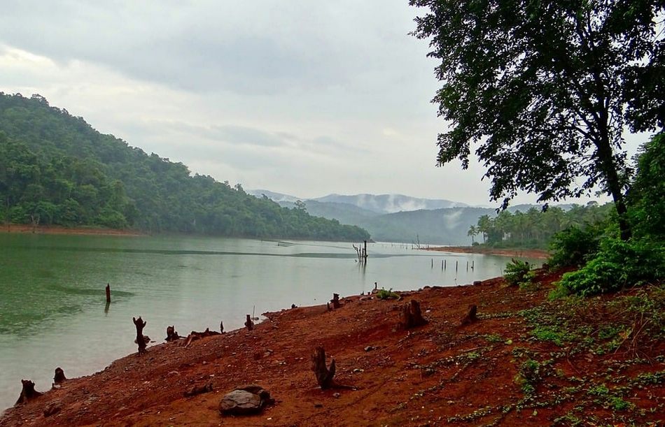 ಭವ್ಯ ಟಿ.ಎಸ್. ಹೊಸ ಸರಣಿ “ಮಲೆನಾಡಿನ ಹಾಡು-ಪಾಡು” ಶುರು
