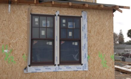 ಎಡವಟ್ಟುಗಳ ಸರಮಾಲೆ…: ಎಚ್. ಗೋಪಾಲಕೃಷ್ಣ ಸರಣಿ