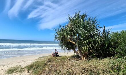 ಶರತ್ಕಾಲದ ರಂಗುರಂಗಿನ ಪ್ರಚಾರ: ಡಾ. ವಿನತೆ ಶರ್ಮ ಅಂಕಣ