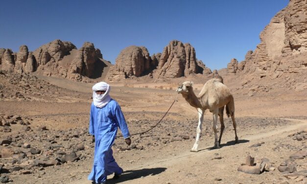 ಉತ್ತರ ಆಫ್ರಿಕಾದ ಇಸ್ಲಾಮಿಕ್ ರಾಷ್ಟ್ರ ಅಲ್ಜೀರಿಯಾ: ಡಾ. ವಿಶ್ವನಾಥ ನೇರಳಕಟ್ಟೆ ಸರಣಿ