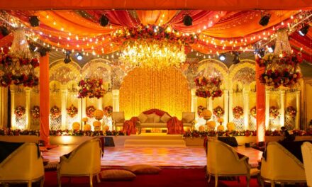 ಆಧಿಕ್ಯದ ಸಮಸ್ಯೆ…: ಡಾ. ಎಲ್.ಜಿ.ಮೀರಾ ಅಂಕಣ