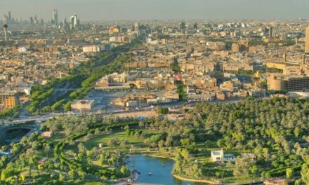 ಸೌದಿಯ ಹೊಸ ಮೆಗಾ ಪ್ರಾಜೆಕ್ಟ್‌!: ದರ್ಶನ್‌ ಜಯಣ್ಣ ಸರಣಿ