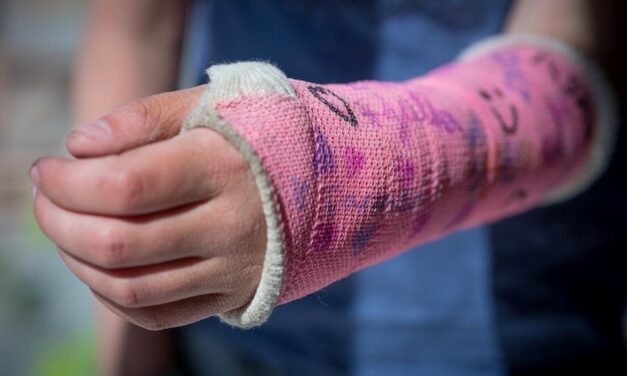 ಪೆಟ್ಟುಮಾಡಿಕೊಂಡ ಕಿಟ್ಟಪ್ಪನಿಗೆ ಸಂದ ಪೂಜೆ…: ಎಚ್. ಗೋಪಾಲಕೃಷ್ಣ ಸರಣಿ