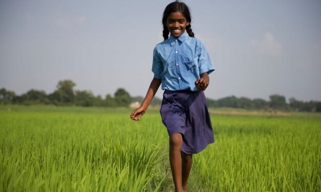 ನಮ್ಮ ಕಾಲದ ಕೃಷಿ….: ರೂಪಾ ರವೀಂದ್ರ ಜೋಶಿ ಸರಣಿ