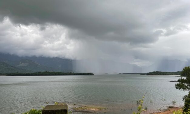ಶ್ರಾವಣ ಬಂತೂ ನಾಡಿಗೆ….: ಮಹಾಲಕ್ಷ್ಮೀ ಕೆ. ಎನ್. ಬರಹ