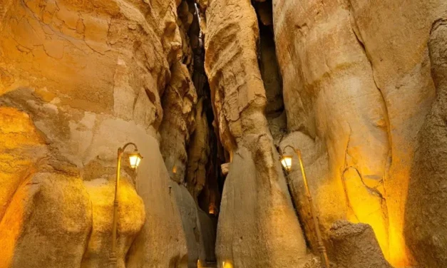 ಅವಳಿ ನಗರಗಳ ದರ್ಶನ: ದರ್ಶನ್‌ ಜಯಣ್ಣ ಸರಣಿ