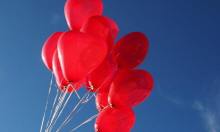 ಫ್ಲಾಪ್ ಆದ ಬಲೂನಿನ ಐಡಿಯಾ: ಬಸವನಗೌಡ ಹೆಬ್ಬಳಗೆರೆ ಸರಣಿ