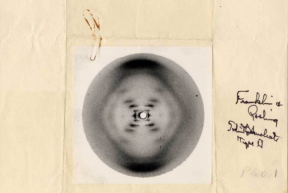 ಶೇಷಾದ್ರಿ ಗಂಜೂರು ಬರೆಯುವ ನೂತನ ವಿಜ್ಞಾನ ಸರಣಿ “ವಿಜ್ಞಾನದ ಕಥಾ ಪ್ರಸಂಗಗಳು” ಇಂದಿನಿಂದ