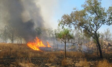 ಬೇಸಿಗೆ ತರಲಿರುವ ಅಸಹನೆ, ಆಕಾಂಕ್ಷೆ: ಡಾ. ವಿನತೆ ಶರ್ಮಾ ಅಂಕಣ